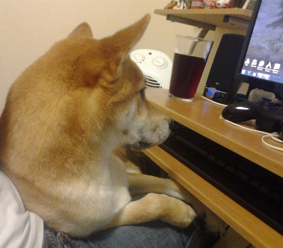 开云网页版-博卡433阵型被拜仁多点突破瓦解，博卡历年球衣